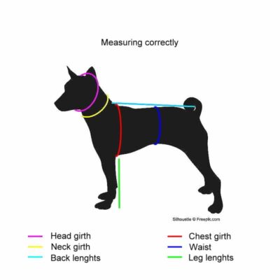 Dog measurement