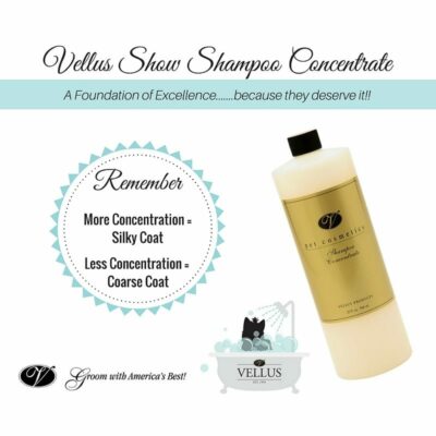 Vellus Show Shampoo Concentrate Anwendung