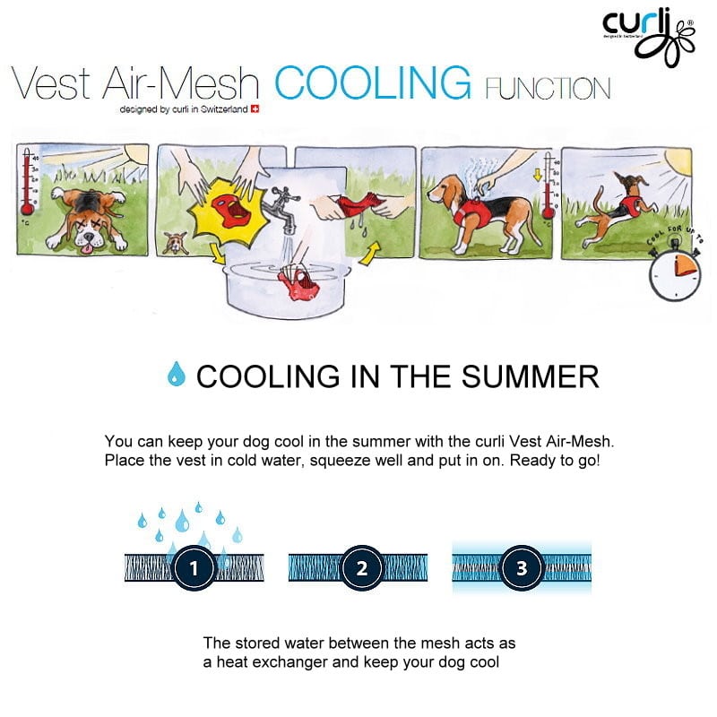 curli vest Cooling Function